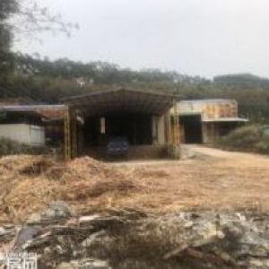 1300+厂房出租  空地1500+