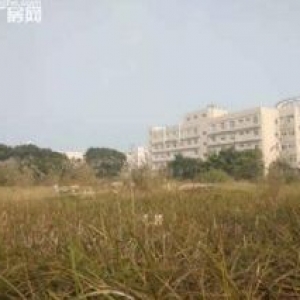漳州港独门独院标准厂房26000平方招租