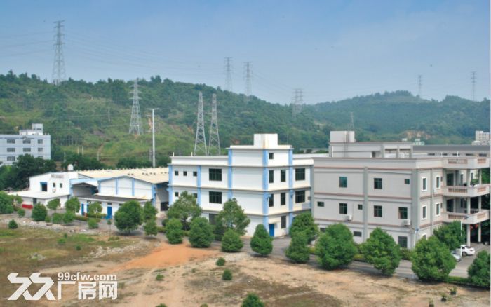 长泰兴泰工业区独院厂房部分招租-图2