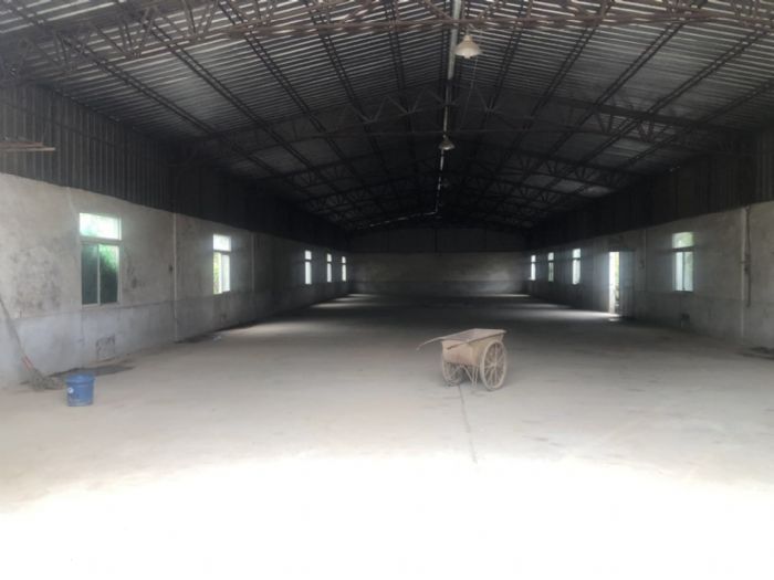 1300+厂房出租  空地1500+-图2