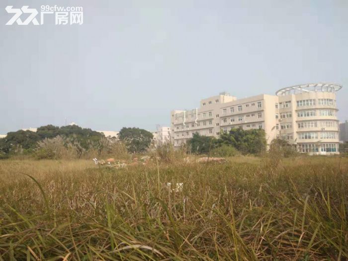 漳州港独门独院标准厂房26000平方招租