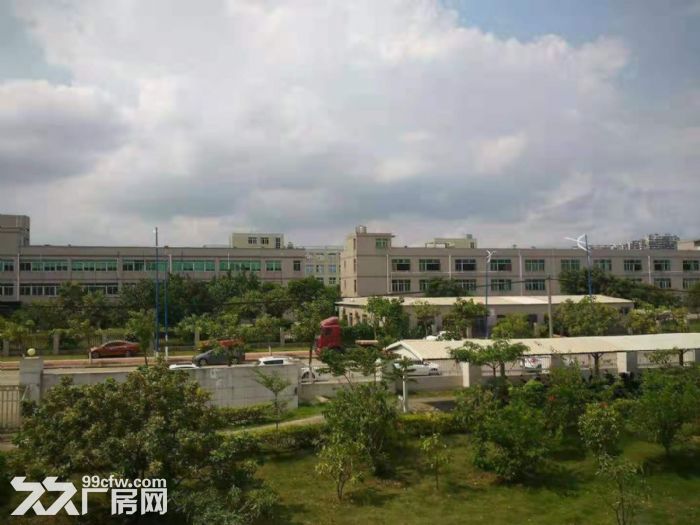 漳州港独门独院40000平方标准厂房出租