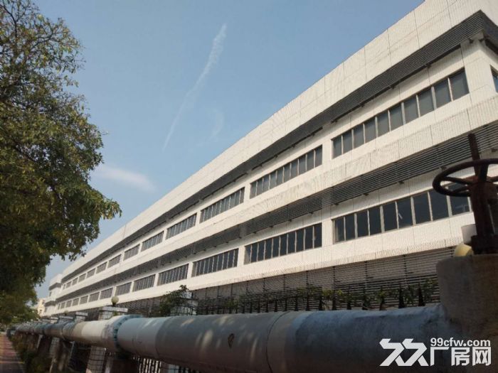 漳州港独门独院钢结构15000平方出租